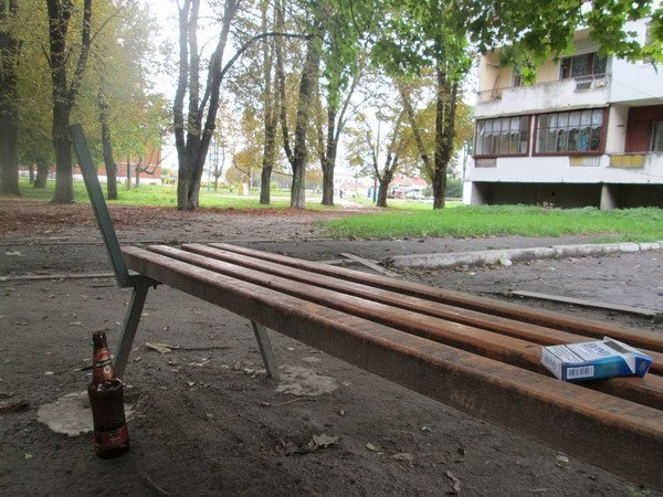 Діти Володимира-Волинського мусять гуляти поряд з псами, які на них кидаються